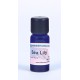 Sea Lily - Lilac - 15ml