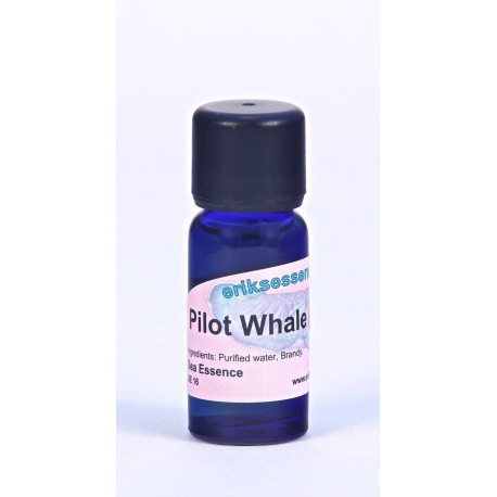 Pilot Whale - Deep Blue - 15ml